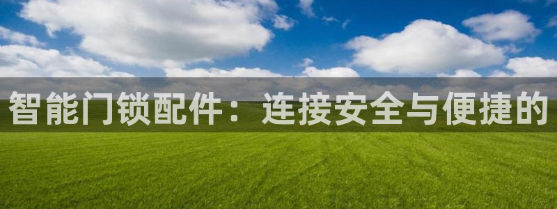 利记游戏开户ysb体育官方官网：智能门锁配件：连接安全与便捷