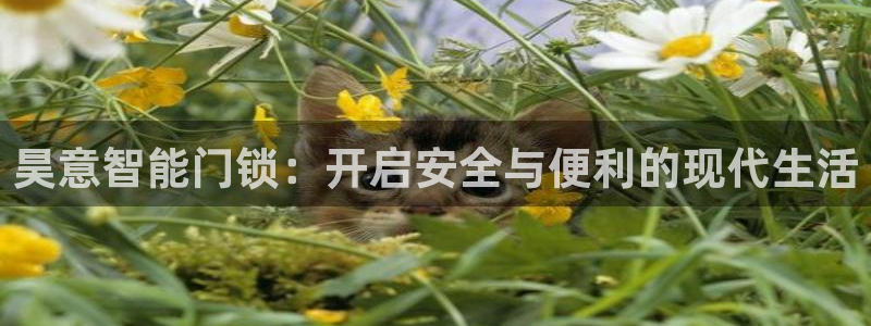 利记官网登录：昊意智能门锁：开启安全与便利的现代生活