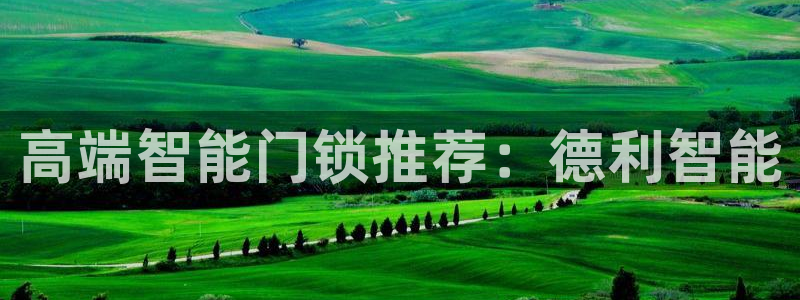 新利记官网：高端智能门锁推荐：德利智能