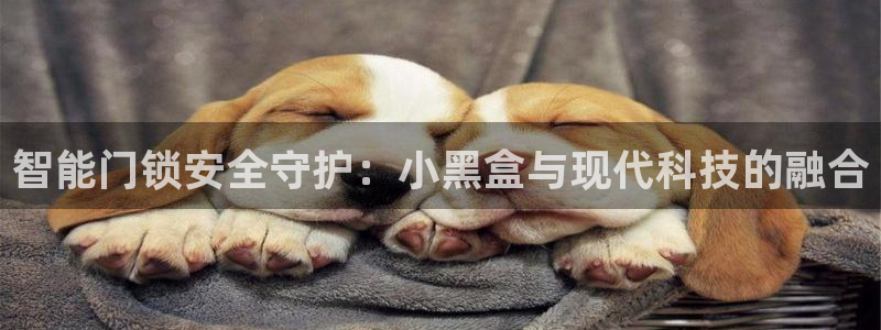 利记官网注册网：智能门锁安全守护：小黑盒与现代科技的融合