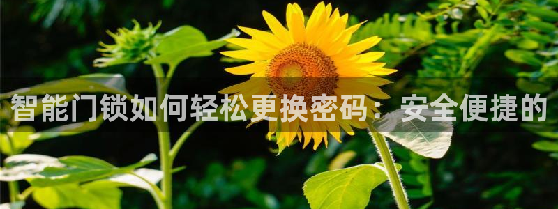利记官网注册：智能门锁如何轻松更换密码：安全便捷的