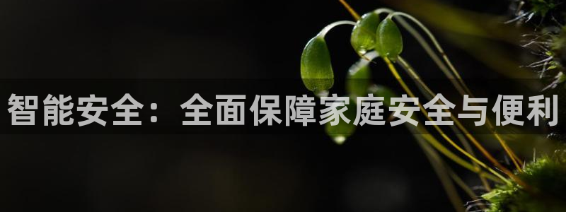 利记官网app：智能安全：全面保障家庭安全与便利