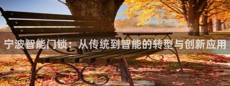 利记坊官网注册账号：宁波智能门锁：从传统到智能的转型与创新应