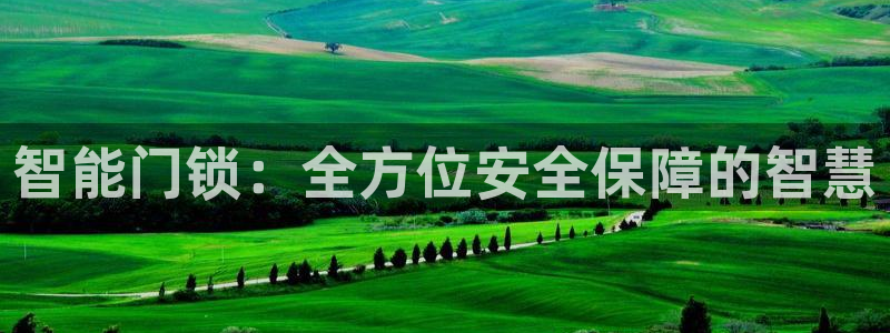 利记国际有限公司官网：智能门锁：全方位安全保障的智慧