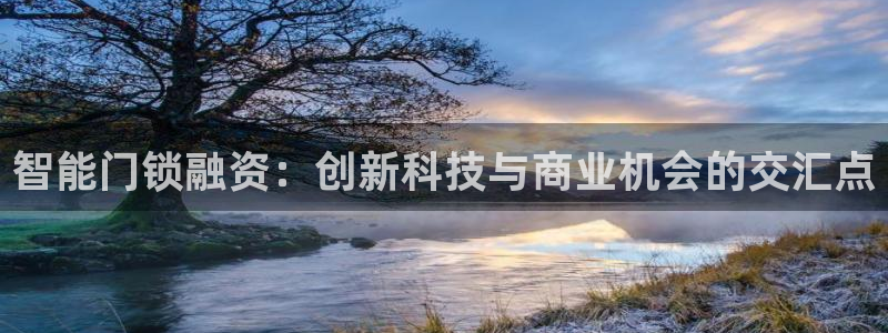 利记娱乐会员金钻官网：智能门锁融资：创新科技与商业机会的交汇