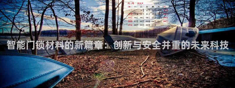 利记网官网网址：智能门锁材料的新篇章：创新与安全并重的未来科
