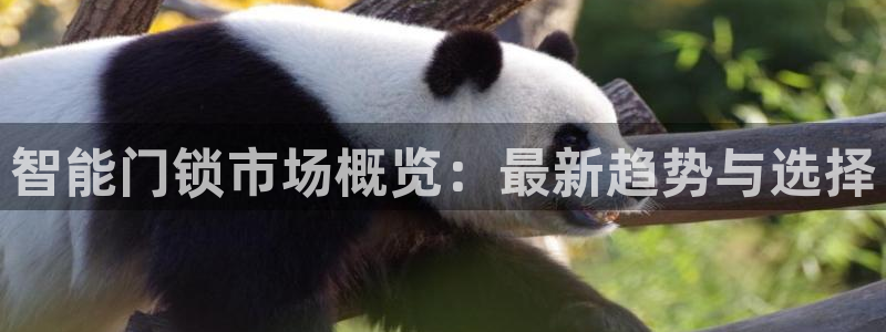 利记体育投注官网：智能门锁市场概览：最新趋势与选择