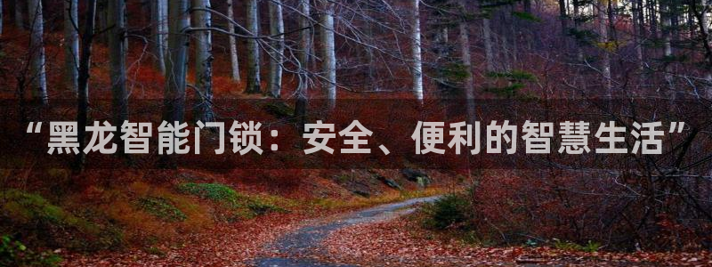 利记体育投注官网：“黑龙智能门锁：安全、便利的智慧生活”