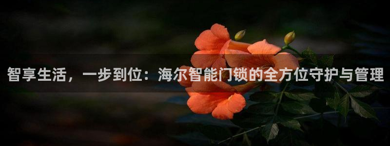 利记app官网真人游戏：智享生活，一步到位：海尔智能门锁的全