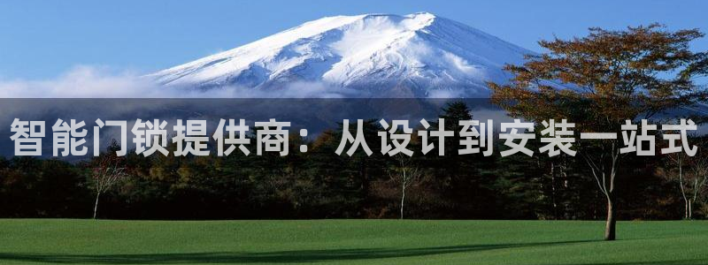 利记sbobet官网：智能门锁提供商：从设计到安装一站式