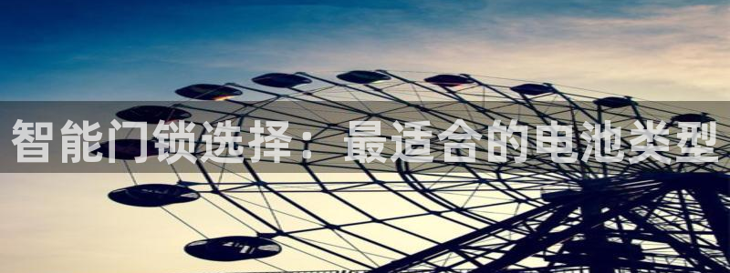 香港利记集团官网旗舰店：智能门锁选择：最适合的电池类型