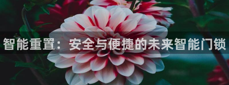 利记sbobe官网：智能重置：安全与便捷的未来智能门锁