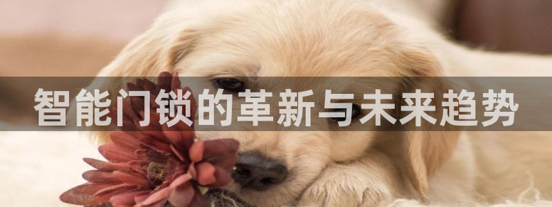 利记官网电脑版：智能门锁的革新与未来趋势