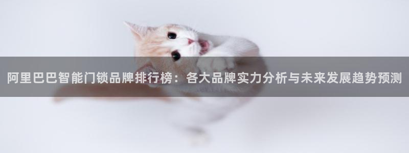 利记体育官网地址：阿里巴巴智能门锁品牌排行榜：各大品牌实力分
