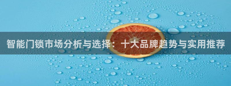 利记 利记官网：智能门锁市场分析与选择：十大品牌趋势与实用推