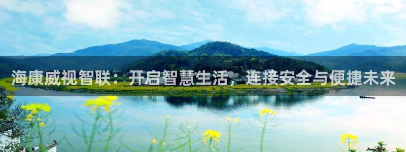 利记官网入口最新版：海康威视智联：开启智慧生活，连接安全与便