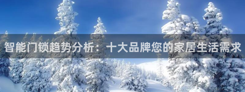 sbo利记体育官网注册：智能门锁趋势分析：十大品牌您的家居生