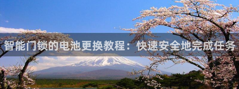 利记买球官网：智能门锁的电池更换教程：快速安全地完成任务