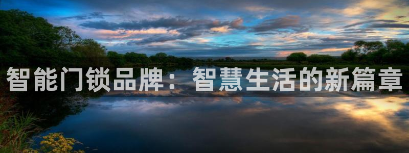 利记现场官网：智能门锁品牌：智慧生活的新篇章