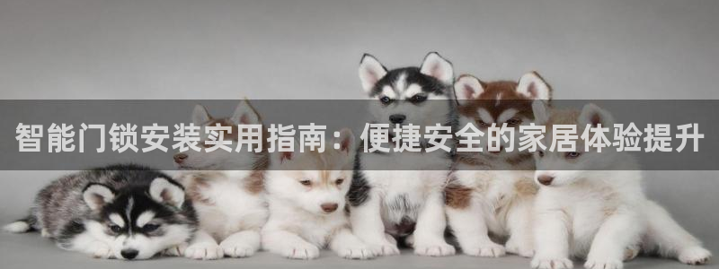 铂利记旗舰店官网电话：智能门锁安装实用指南：便捷安全的家居体