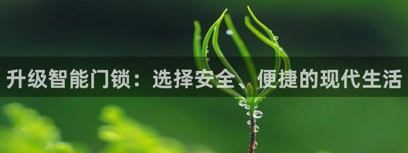 澳门大利来记官网：升级智能门锁：选择安全、便捷的现代生活