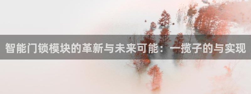 利记厨具官网售后：智能门锁模块的革新与未来可能：一揽子的与实