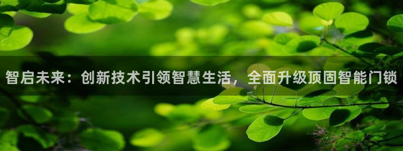 利记真正的官网是多少：智启未来：创新技术引领智慧生活，全面升