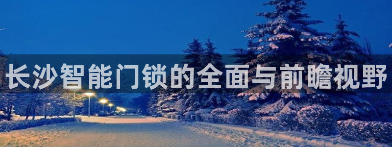 利记官网首页：长沙智能门锁的全面与前瞻视野