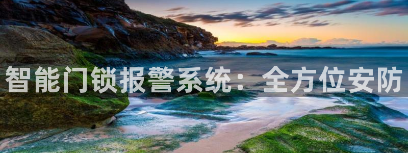 利记足球官网：智能门锁报警系统：全方位安防
