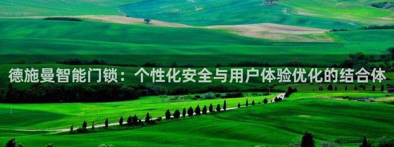 利记手机官网银河网：德施曼智能门锁：个性化安全与用户体验优化