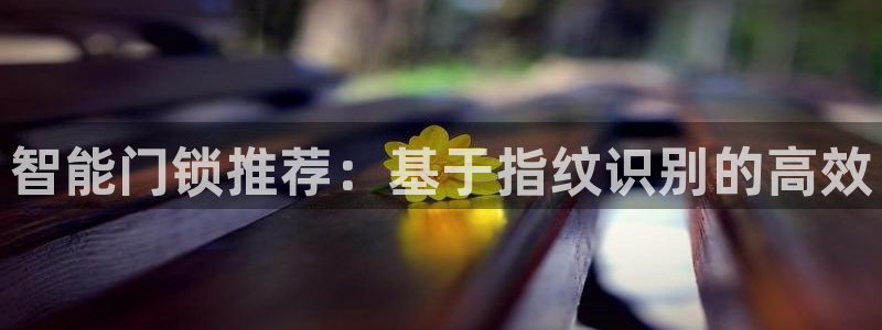 利记官网app：智能门锁推荐：基于指纹识别的高效