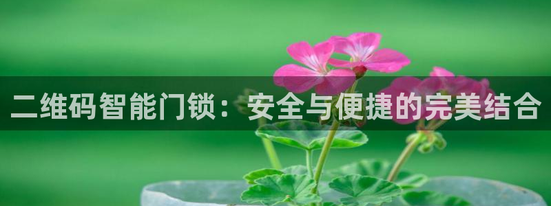 利记官网是多少：二维码智能门锁：安全与便捷的完美结合