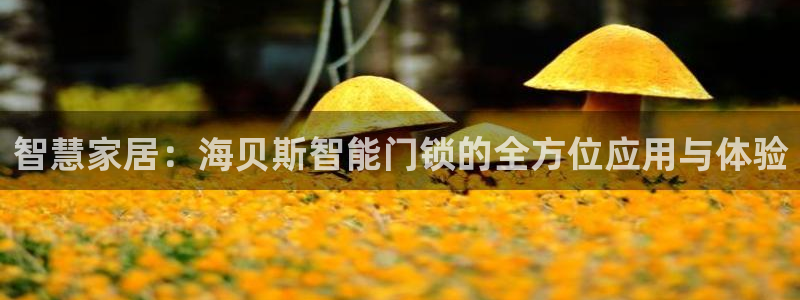 万利记官方旗舰店官网：智慧家居：海贝斯智能门锁的全方位应用与