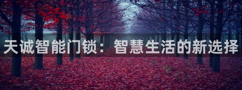 利记彩票平台官网：天诚智能门锁：智慧生活的新选择