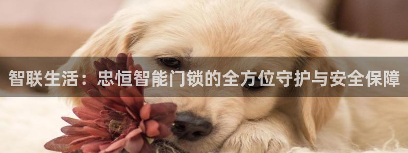 铂利记旗舰店官网电话：智联生活：忠恒智能门锁的全方位守护与安