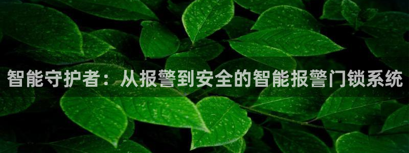 利记app官网：智能守护者：从报警到安全的智能报警门锁系统