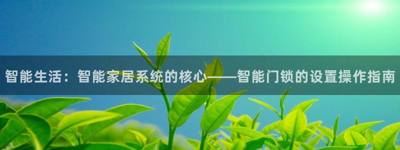 利记体育官网地址：智能生活：智能家居系统的核心——智能门锁的