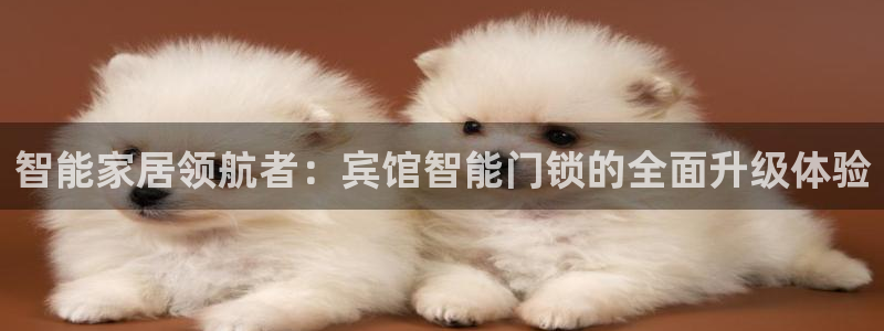 利记官网注册：智能家居领航者：宾馆智能门锁的全面升级体验