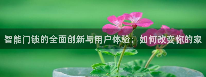 利记官网注册：智能门锁的全面创新与用户体验：如何改变你的家