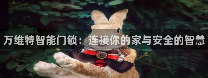 利记官网官方网站：万维特智能门锁：连接你的家与安全的智慧