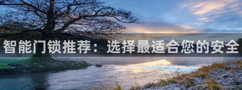 sbobet利记官网登录入口：智能门锁推荐：选择最适合您的安