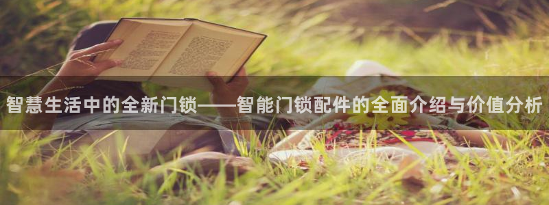 利记sbobet官网：智慧生活中的全新门锁——智能门锁配件的