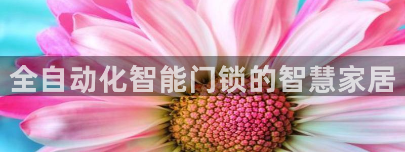 万利记唯一官网：全自动化智能门锁的智慧家居