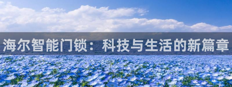 利记手机官网：海尔智能门锁：科技与生活的新篇章