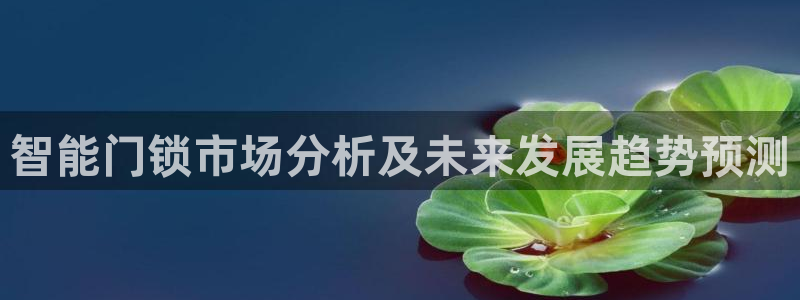 利记现场官网：智能门锁市场分析及未来发展趋势预测
