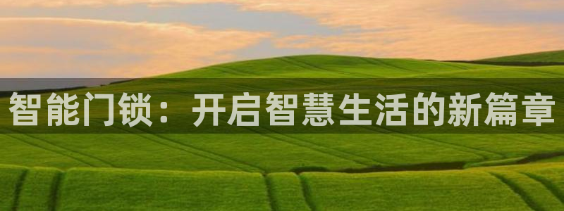 利记厨具官网售后：智能门锁：开启智慧生活的新篇章