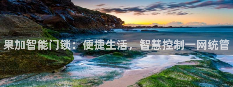 利记88官网app：果加智能门锁：便捷生活，智慧控制一网统管