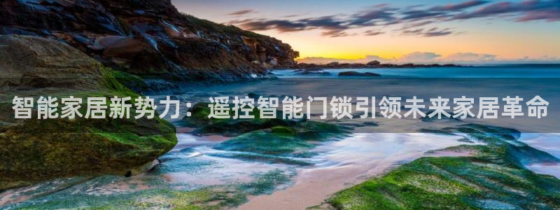 万利记唯一官网：智能家居新势力：遥控智能门锁引领未来家居革命