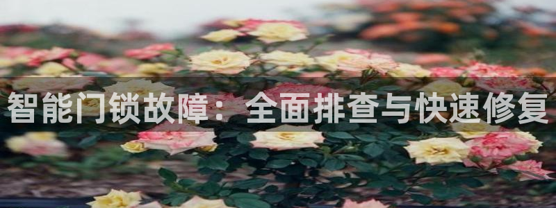 利记平台官网首页：智能门锁故障：全面排查与快速修复
