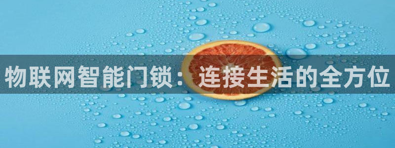 利记手机官网电子mg官方网站：物联网智能门锁：连接生活的全方